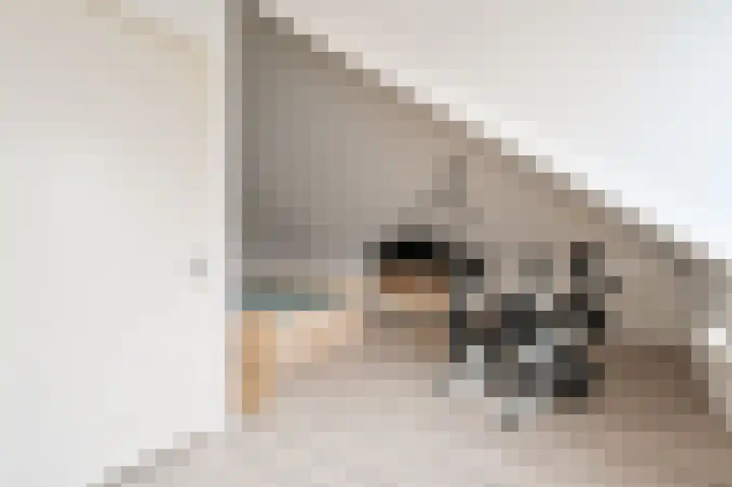 Joris van Bodegomlaan 18 Spijkenisse thumbnail 29