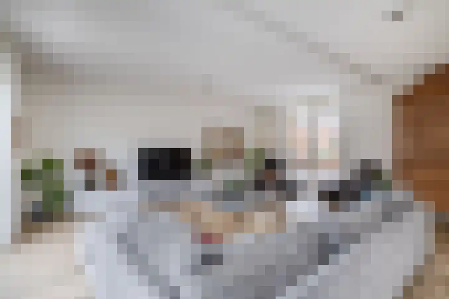 Joris van Bodegomlaan 34 Spijkenisse thumbnail 13