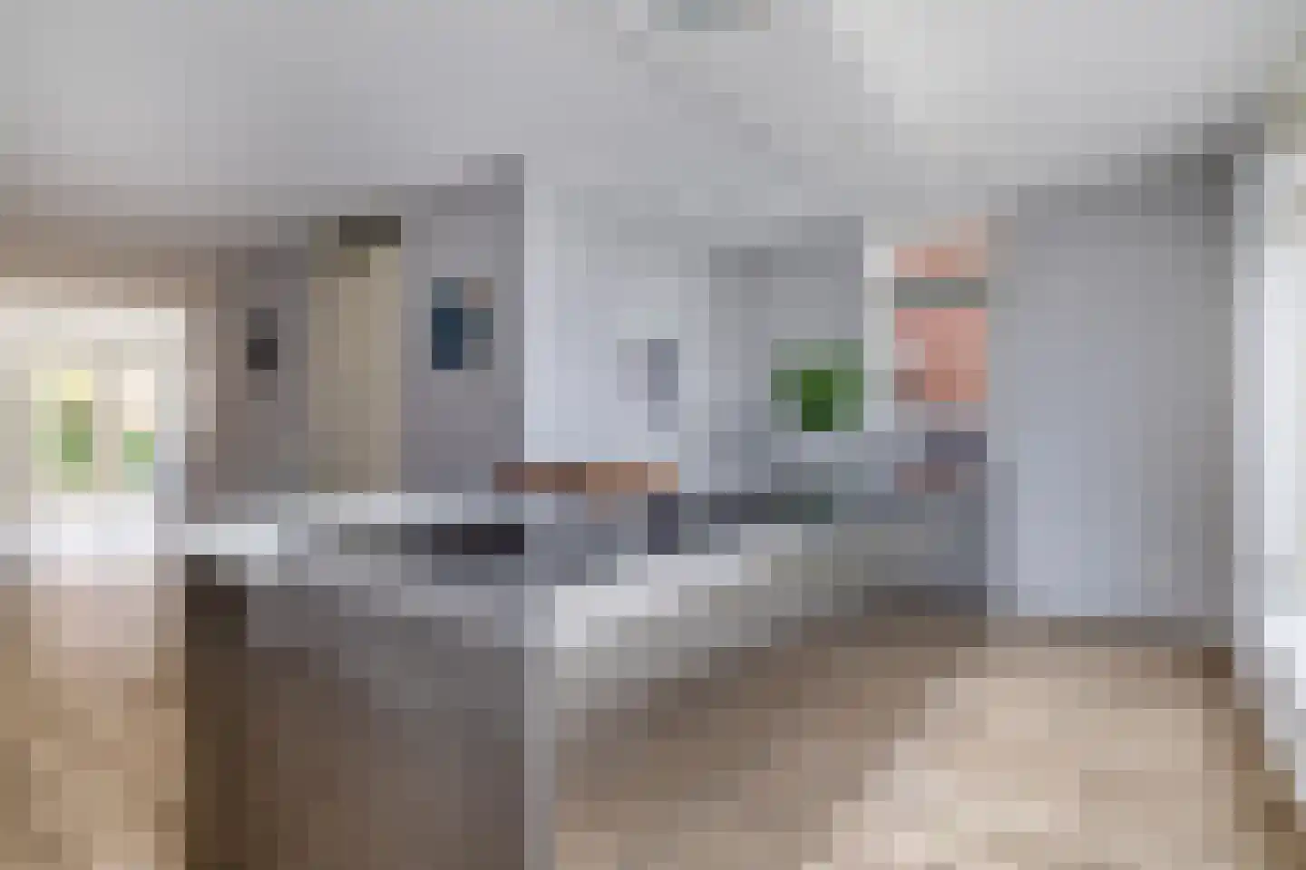 Joris van Bodegomlaan 34 Spijkenisse thumbnail 26