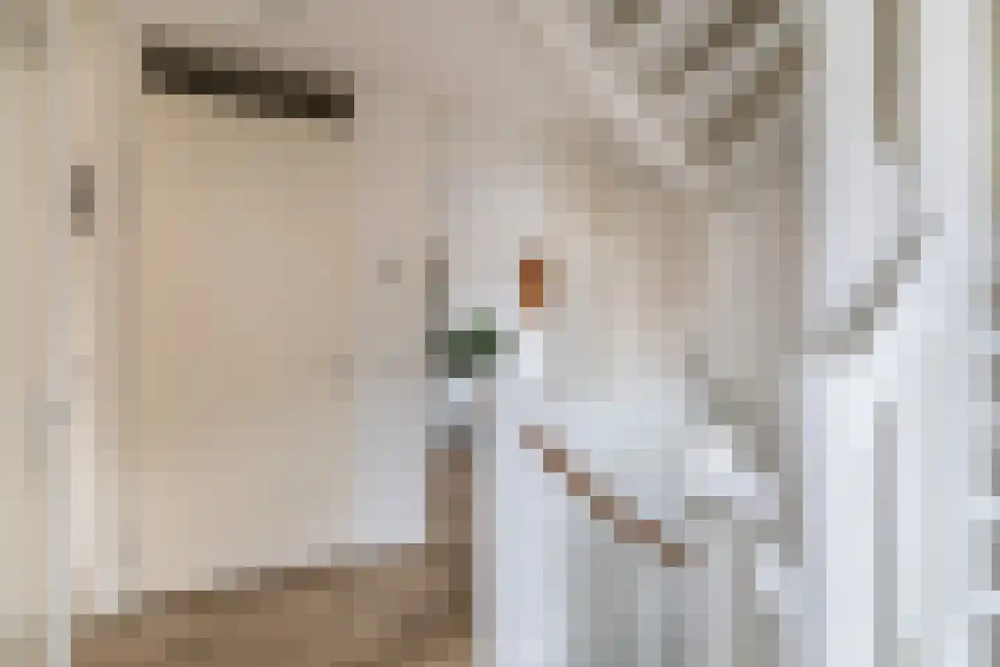 Joris van Bodegomlaan 34 Spijkenisse thumbnail 33