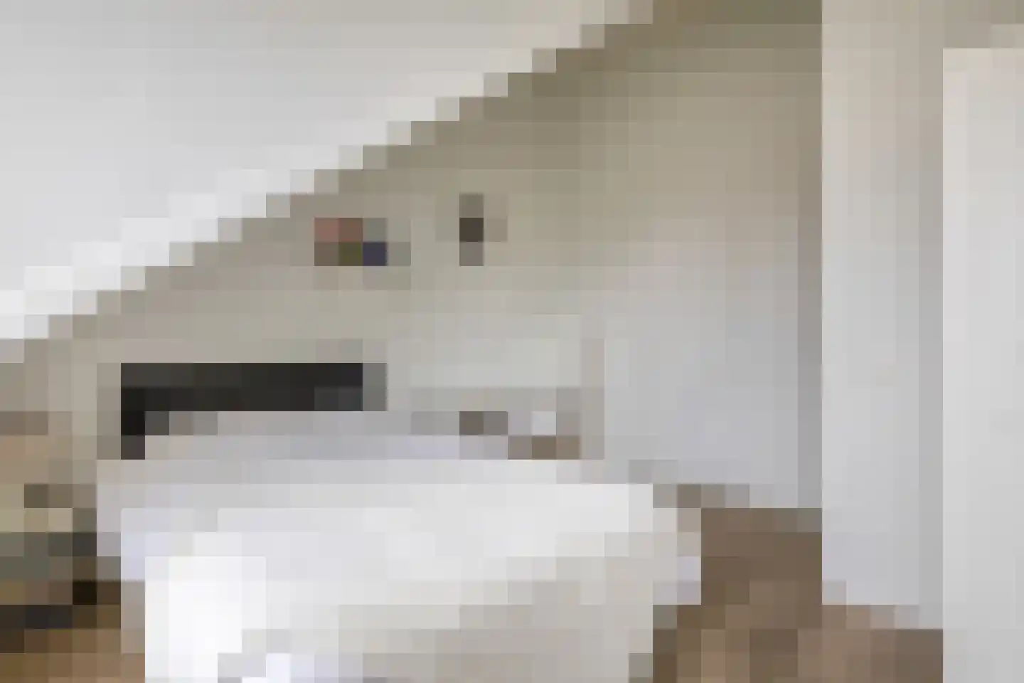 Joris van Bodegomlaan 34 Spijkenisse thumbnail 44
