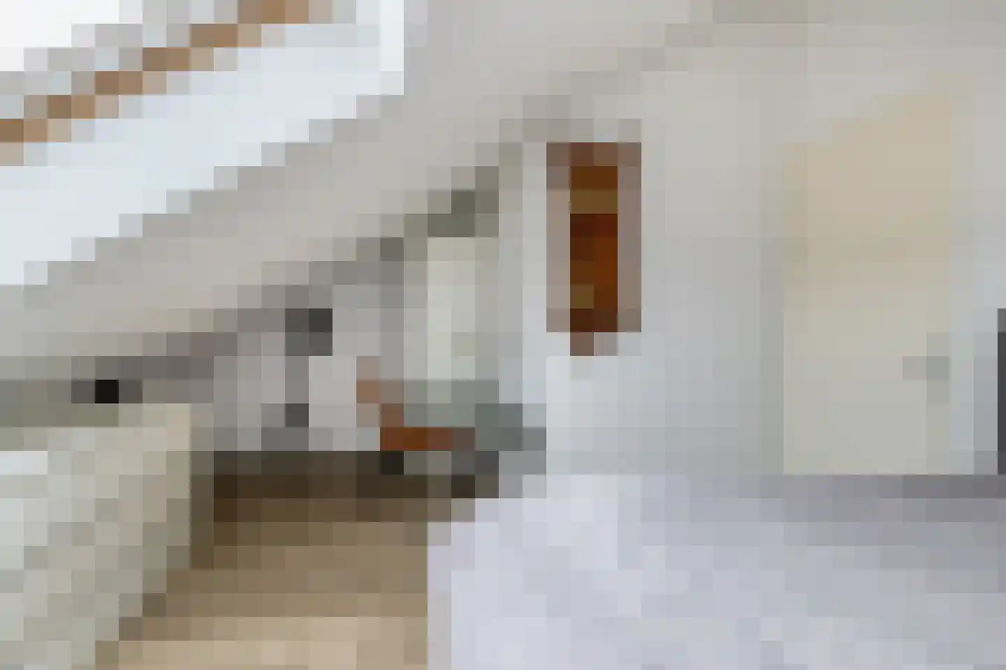 Joris van Bodegomlaan 34 Spijkenisse thumbnail 46