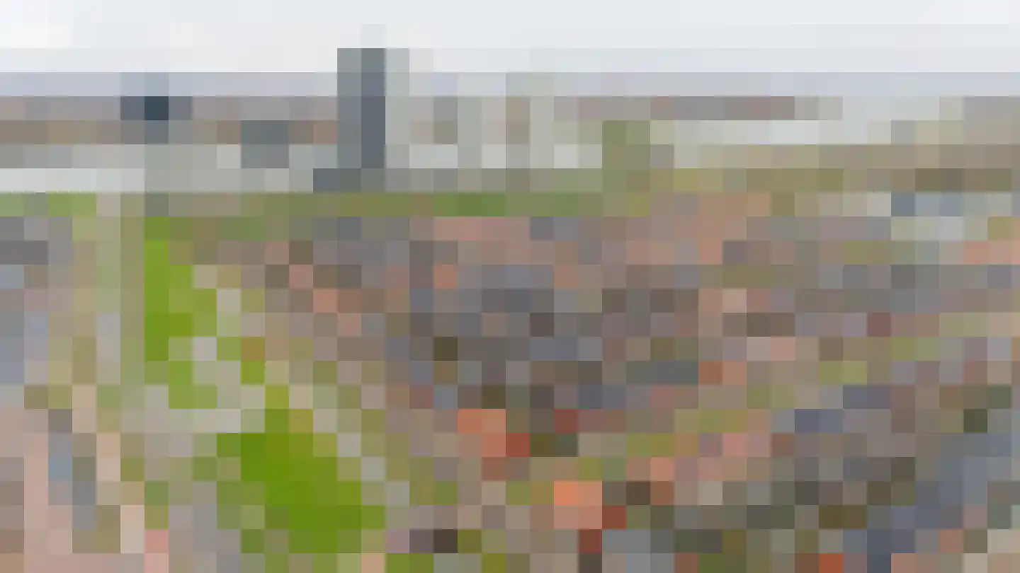 Joris van Bodegomlaan 34 Spijkenisse thumbnail 47