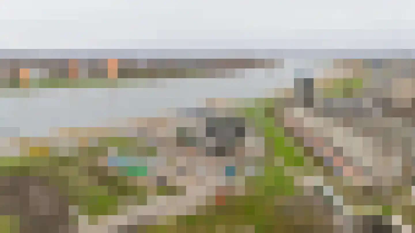 Joris van Bodegomlaan 34 Spijkenisse thumbnail 48