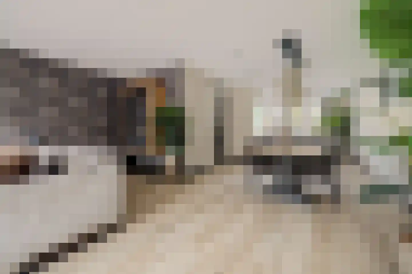 Joris van Bodegomlaan 54 Spijkenisse thumbnail 10