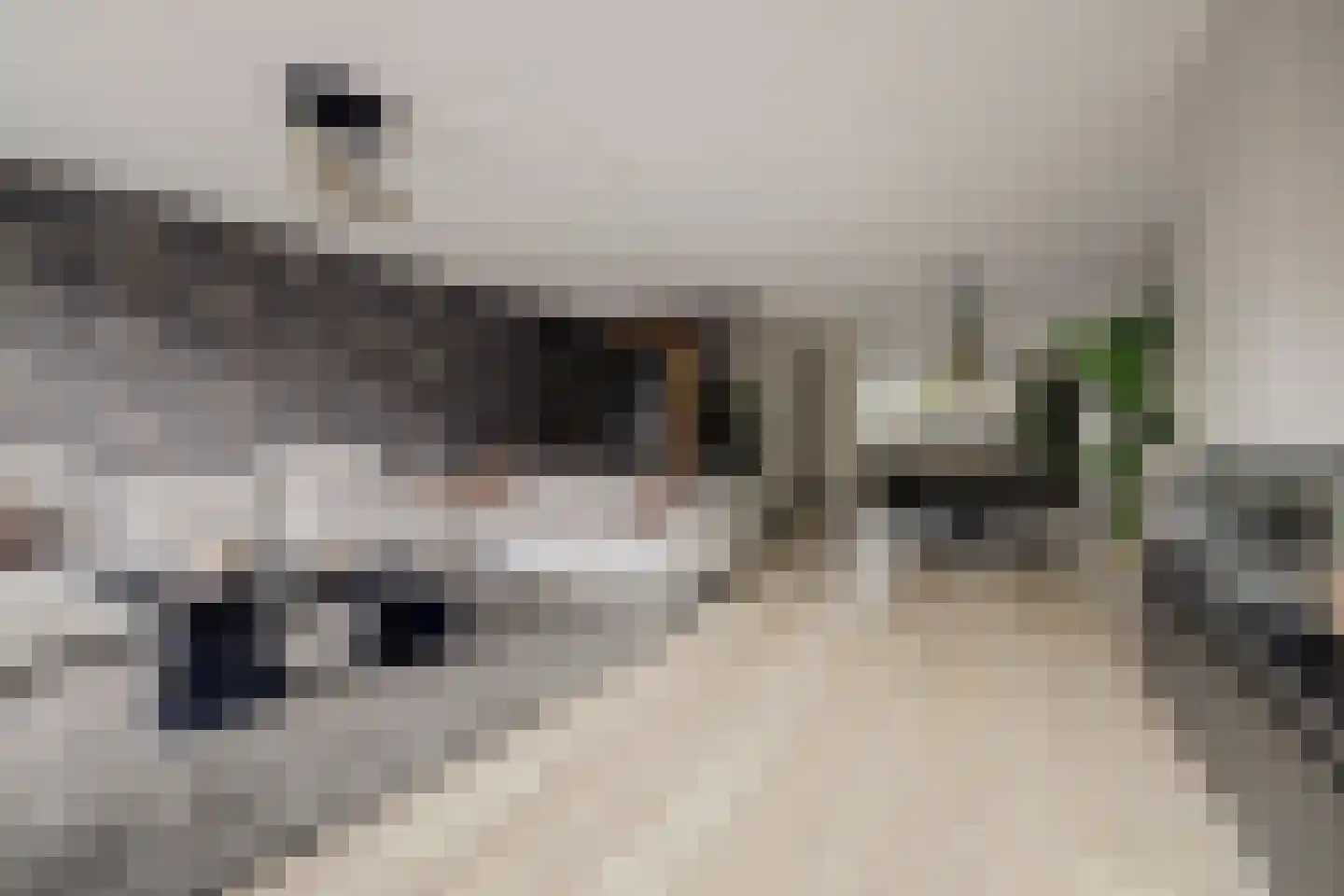 Joris van Bodegomlaan 54 Spijkenisse thumbnail 12