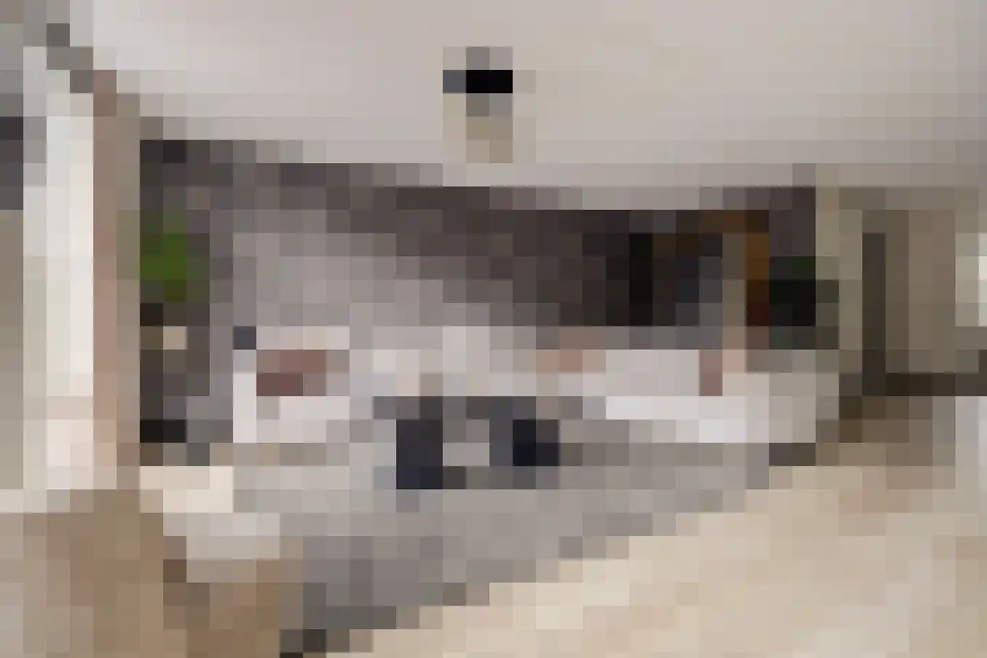 Joris van Bodegomlaan 54 Spijkenisse thumbnail 13