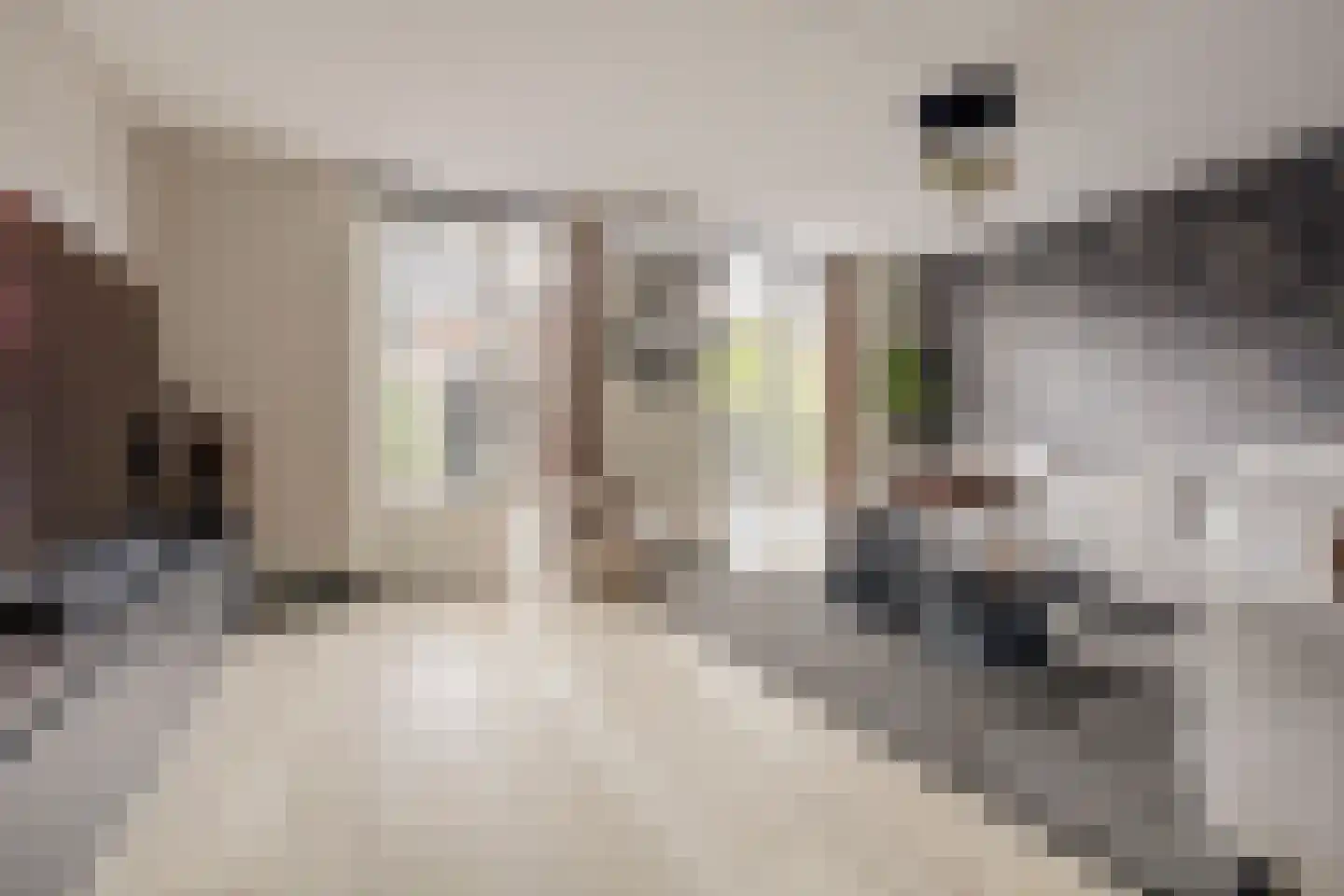 Joris van Bodegomlaan 54 Spijkenisse thumbnail 15