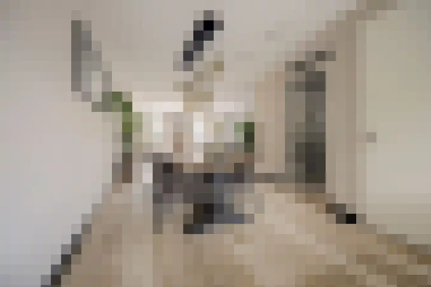 Joris van Bodegomlaan 54 Spijkenisse thumbnail 17