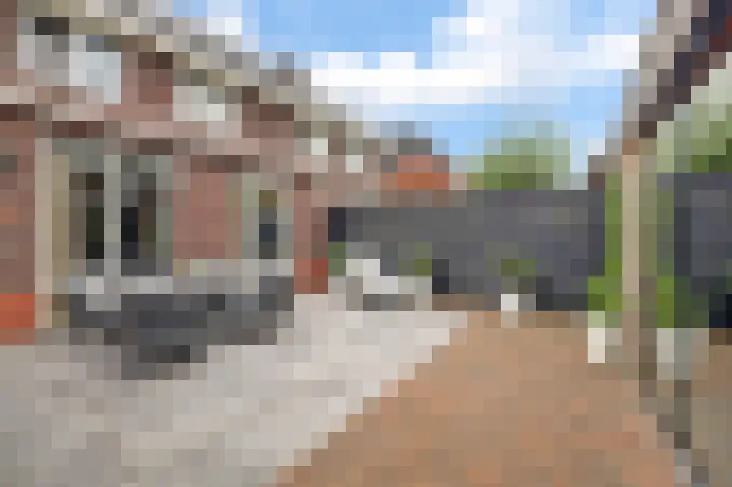 Joris van Bodegomlaan 54 Spijkenisse thumbnail 18