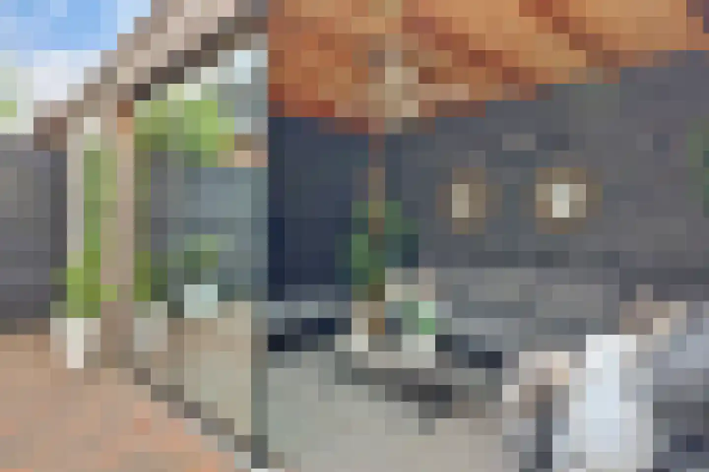 Joris van Bodegomlaan 54 Spijkenisse thumbnail 21