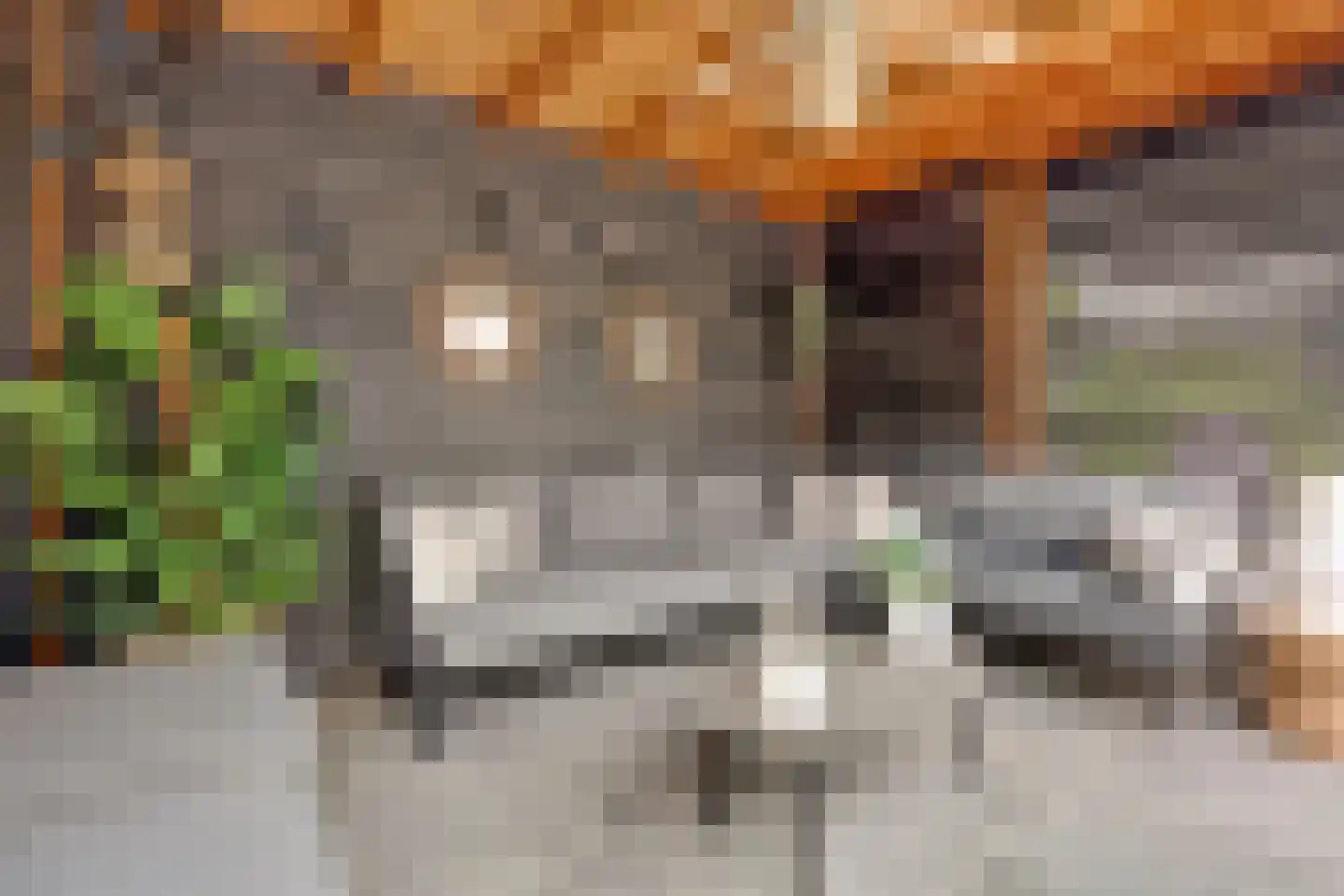 Joris van Bodegomlaan 54 Spijkenisse thumbnail 23