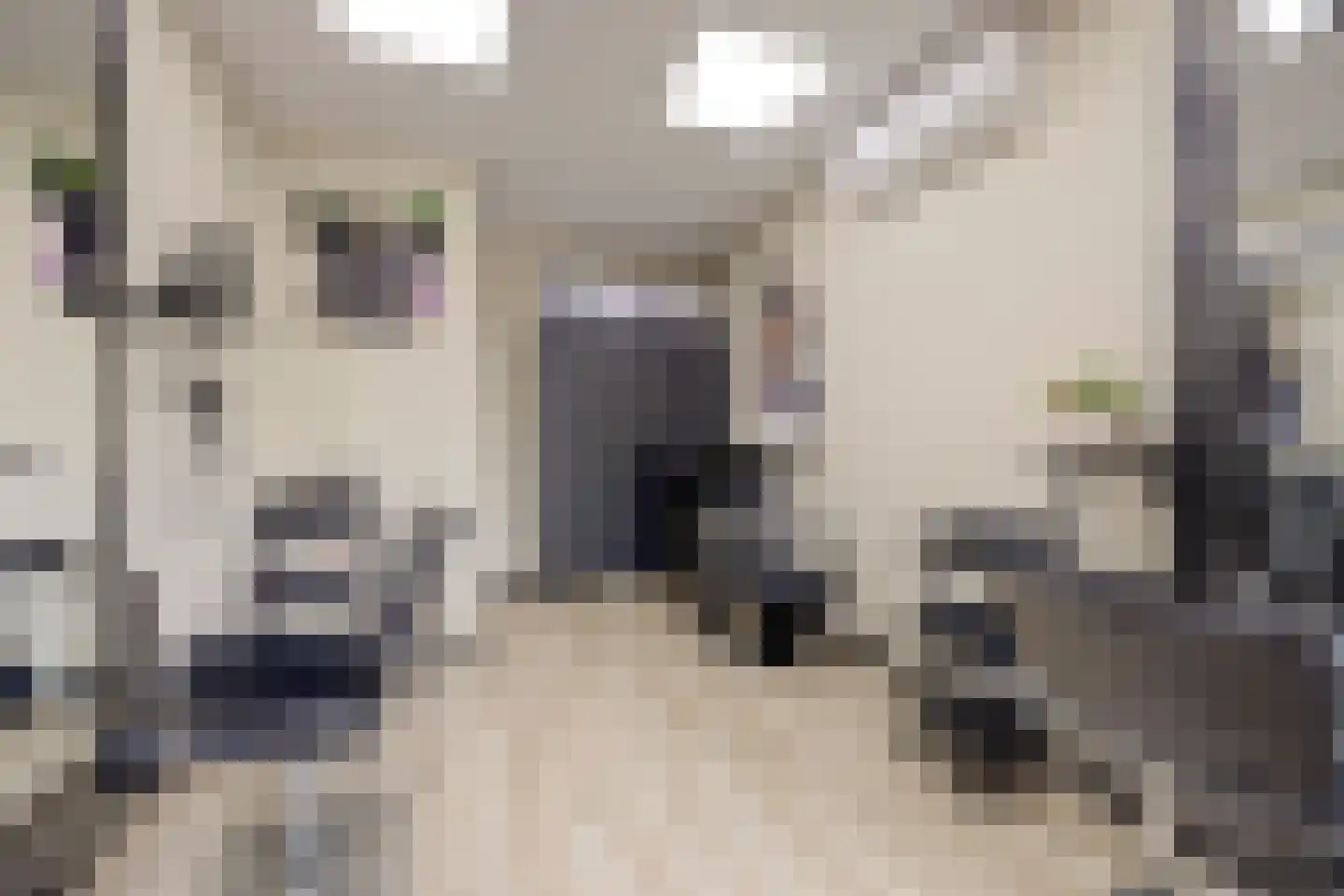 Joris van Bodegomlaan 54 Spijkenisse thumbnail 28