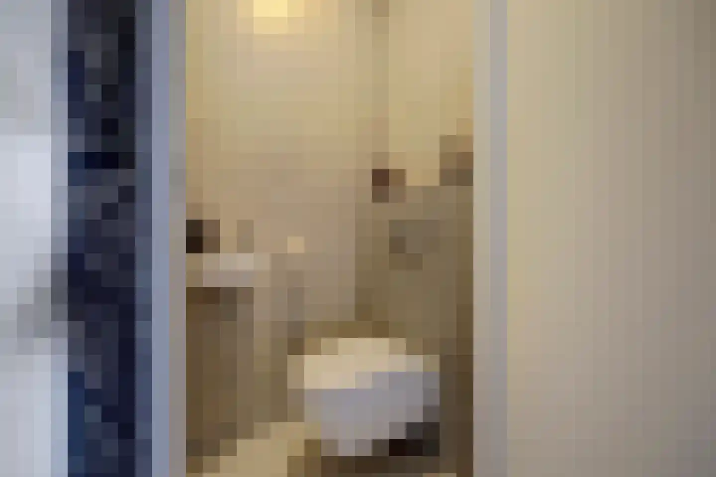 Joris van Bodegomlaan 54 Spijkenisse thumbnail 29