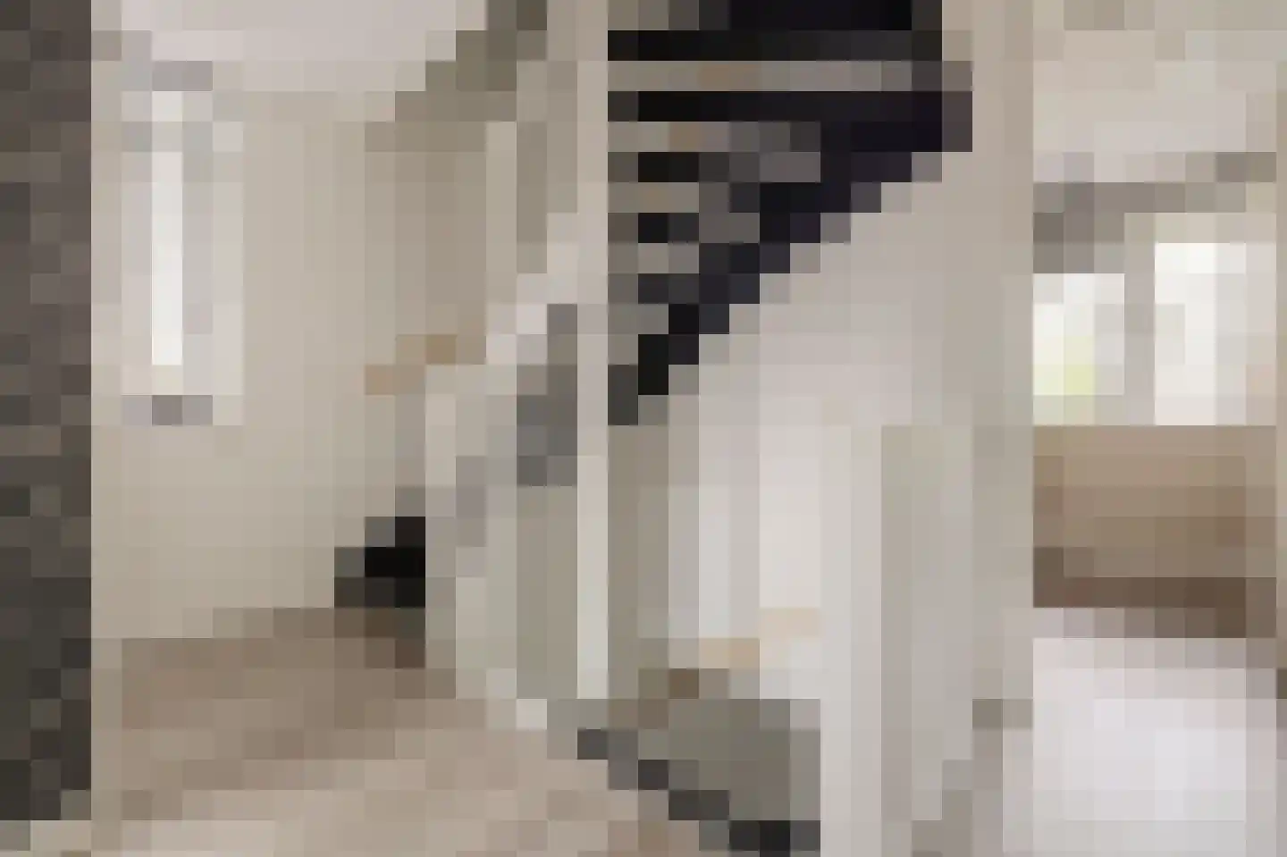 Joris van Bodegomlaan 54 Spijkenisse thumbnail 36