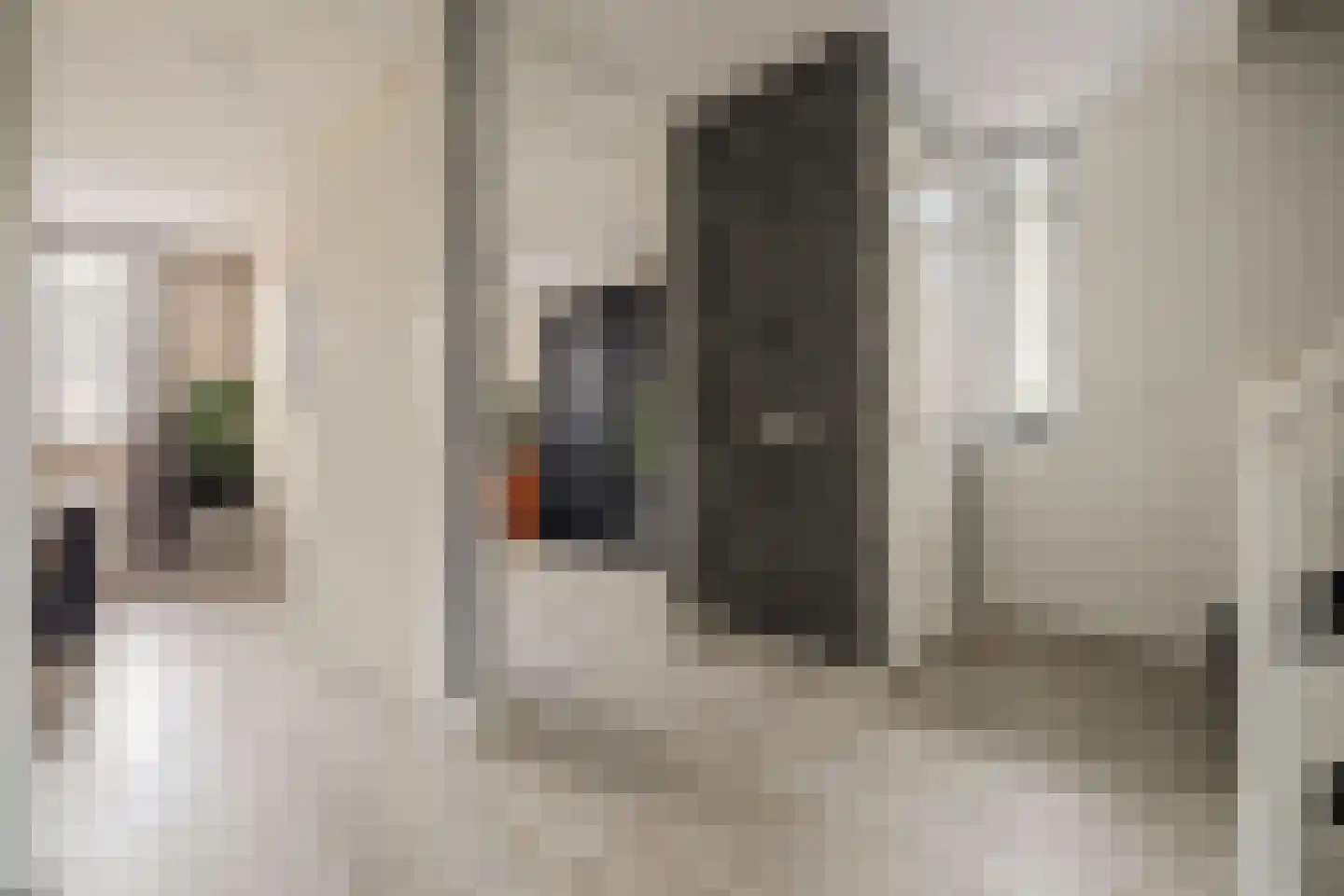 Joris van Bodegomlaan 54 Spijkenisse thumbnail 37