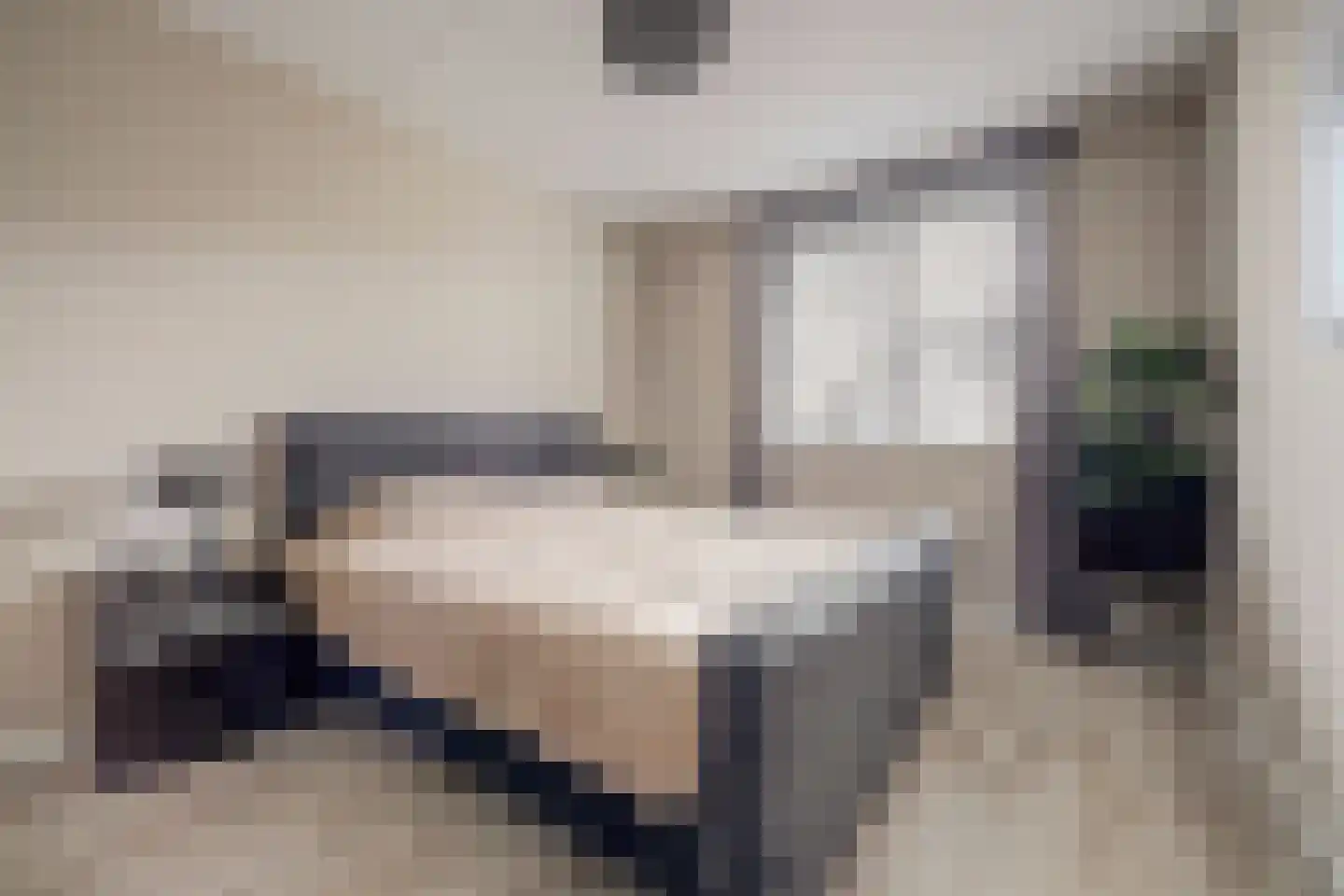Joris van Bodegomlaan 54 Spijkenisse thumbnail 38