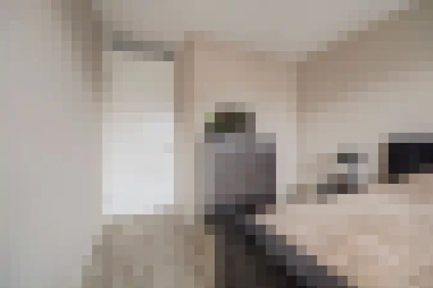 Joris van Bodegomlaan 54 Spijkenisse thumbnail 39