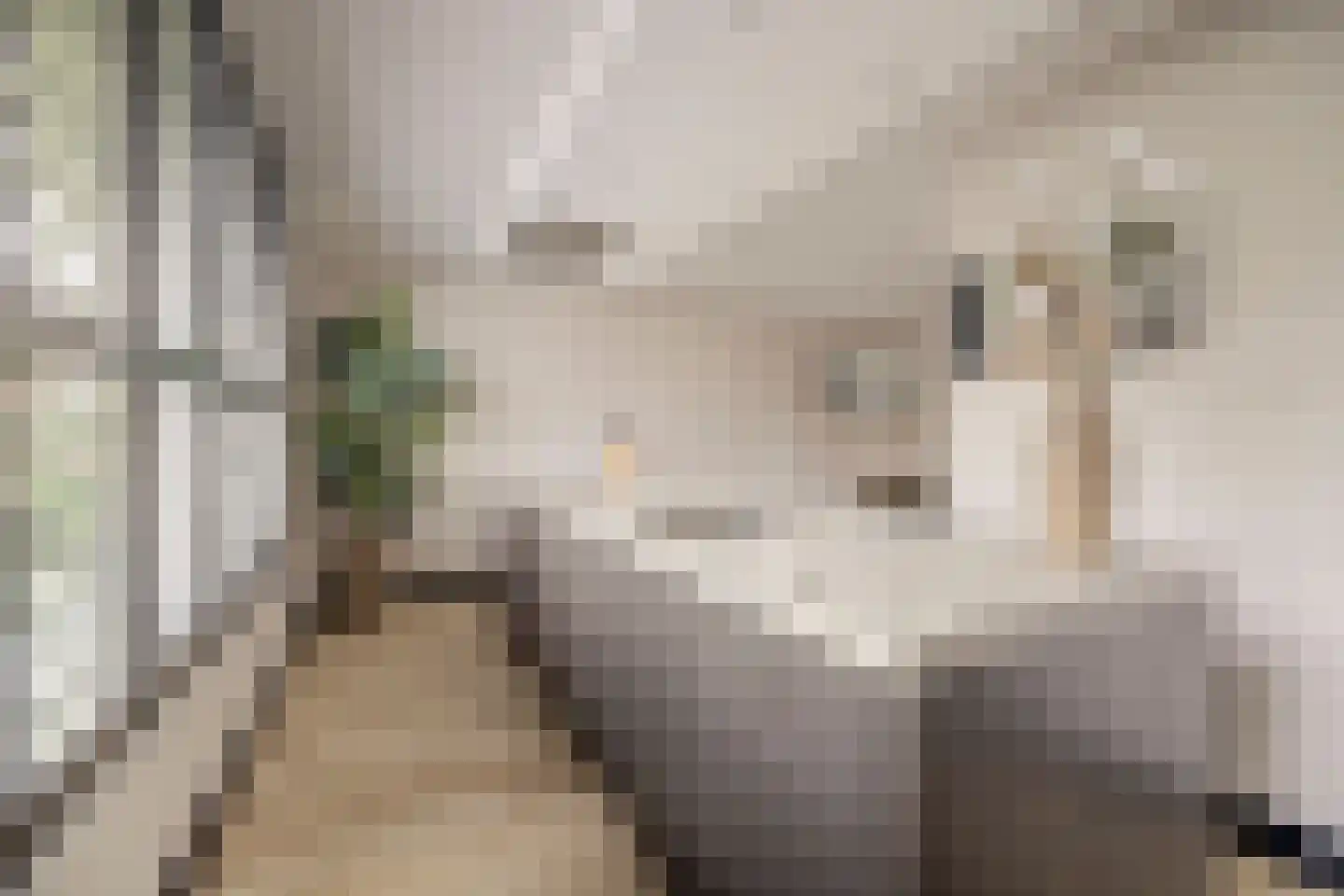 Joris van Bodegomlaan 54 Spijkenisse thumbnail 4