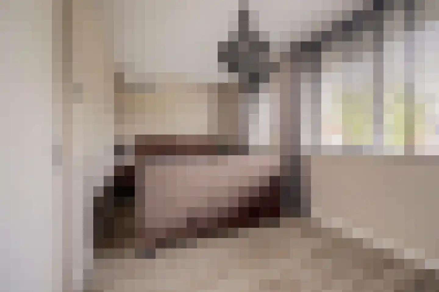 Joris van Bodegomlaan 54 Spijkenisse thumbnail 40