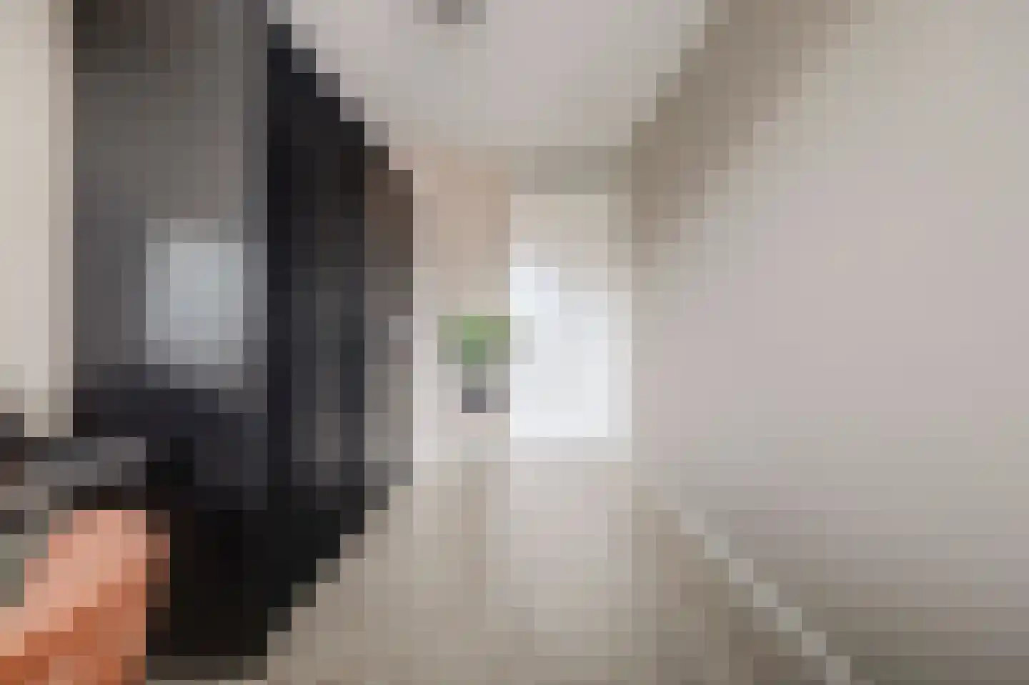 Joris van Bodegomlaan 54 Spijkenisse thumbnail 43