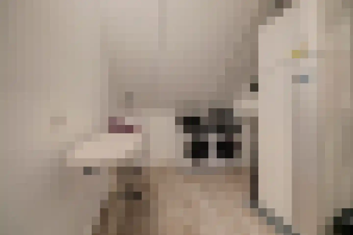 Joris van Bodegomlaan 54 Spijkenisse thumbnail 44