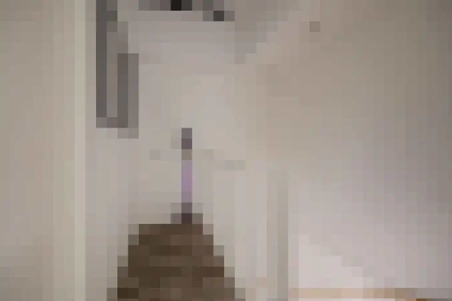 Joris van Bodegomlaan 54 Spijkenisse thumbnail 45