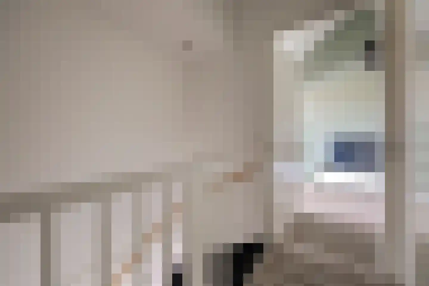 Joris van Bodegomlaan 54 Spijkenisse thumbnail 46