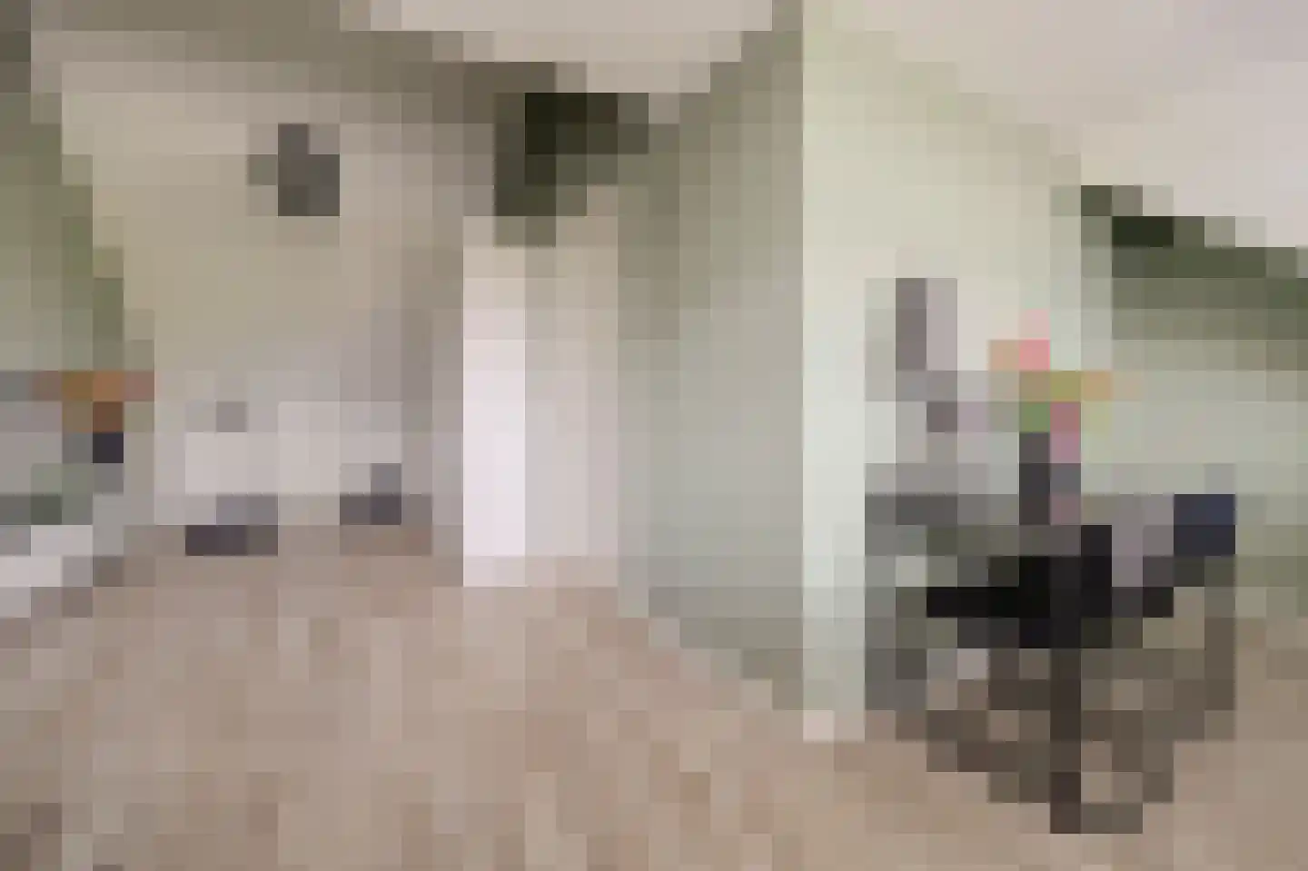 Joris van Bodegomlaan 54 Spijkenisse thumbnail 47