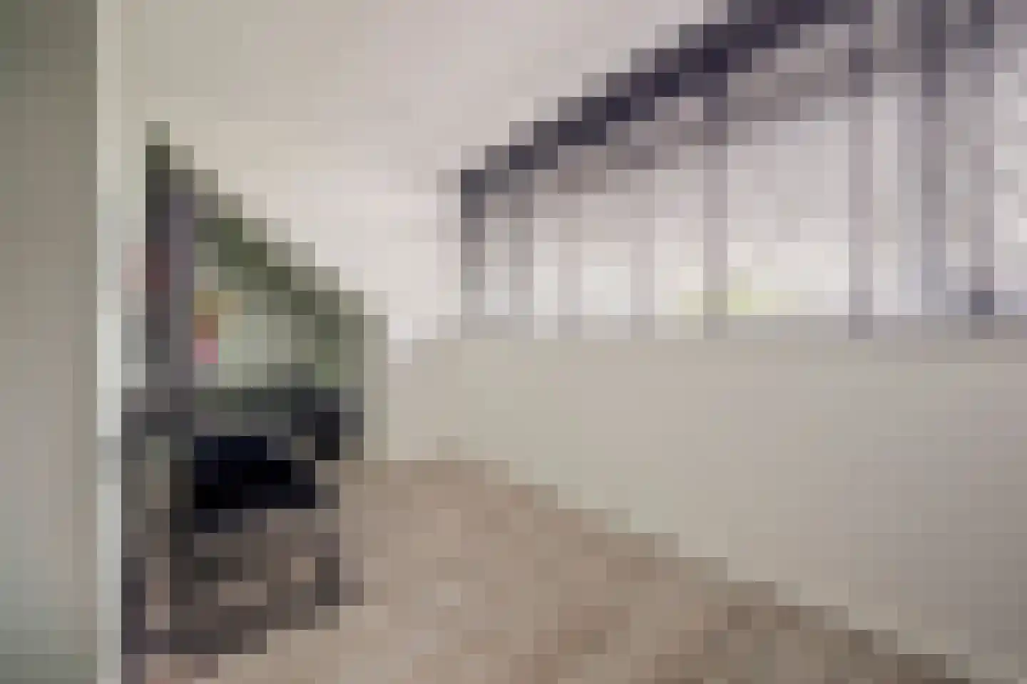 Joris van Bodegomlaan 54 Spijkenisse thumbnail 49