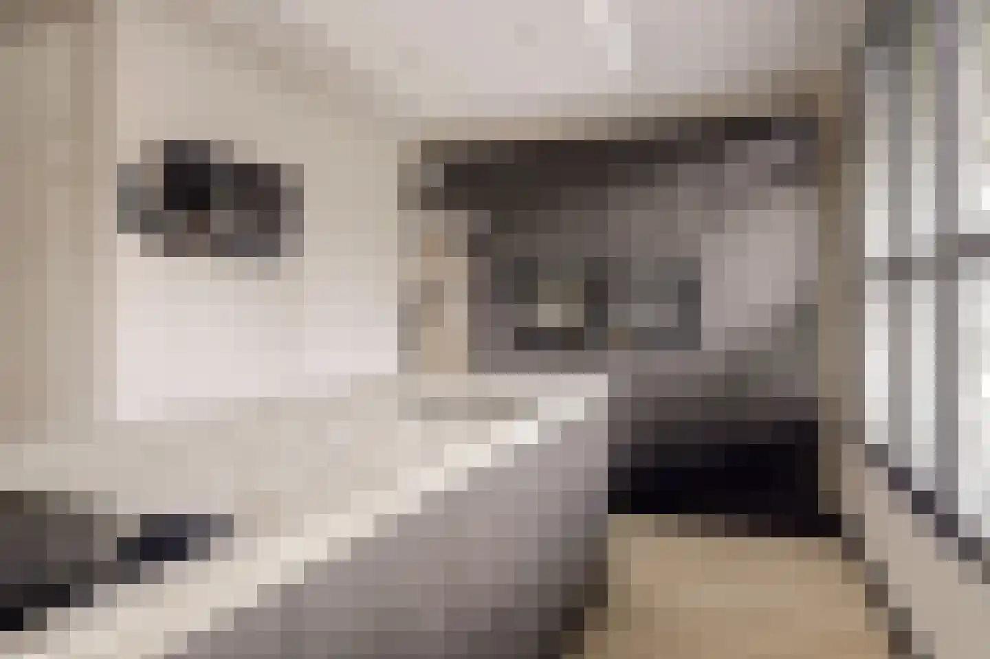 Joris van Bodegomlaan 54 Spijkenisse thumbnail 5