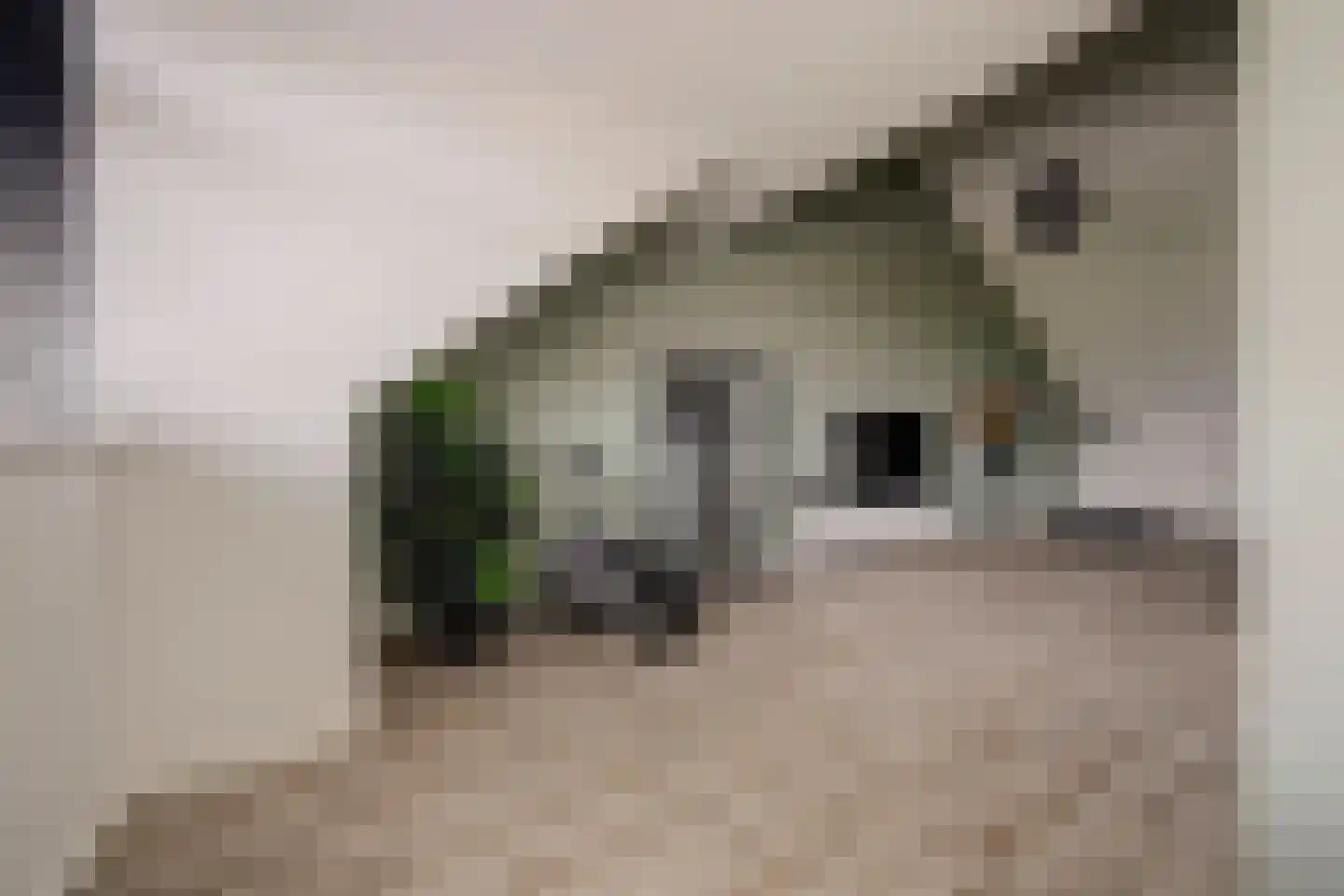 Joris van Bodegomlaan 54 Spijkenisse thumbnail 50