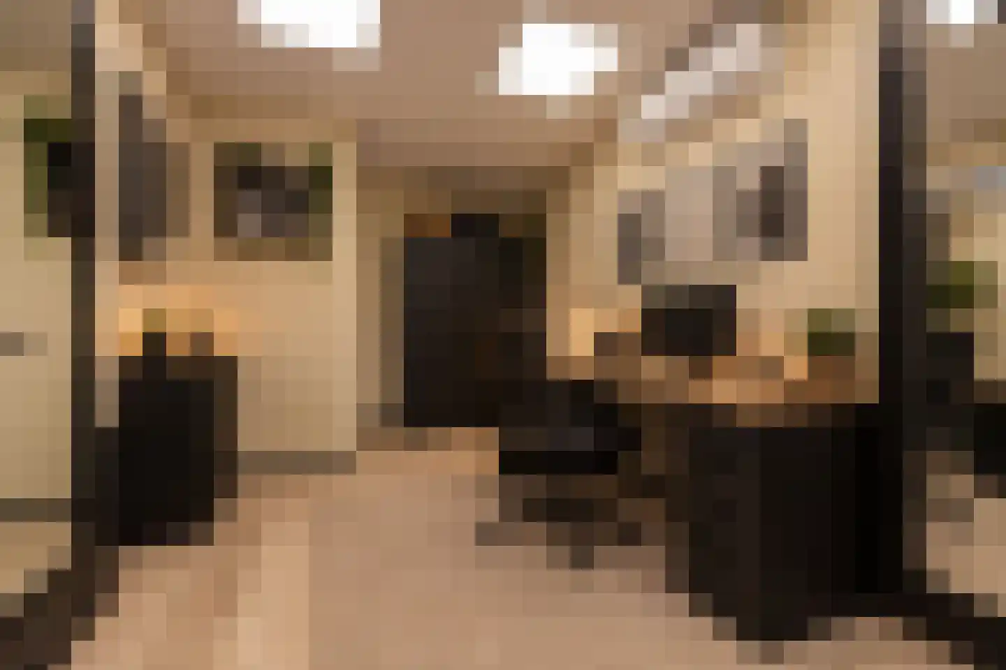 Joris van Bodegomlaan 54 Spijkenisse thumbnail 52