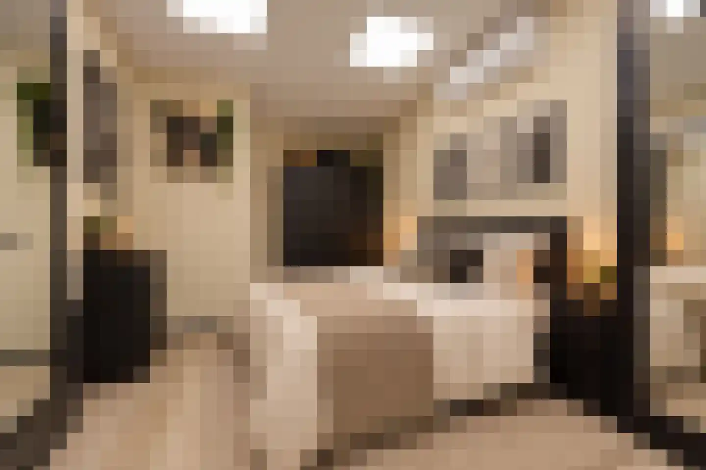 Joris van Bodegomlaan 54 Spijkenisse thumbnail 53