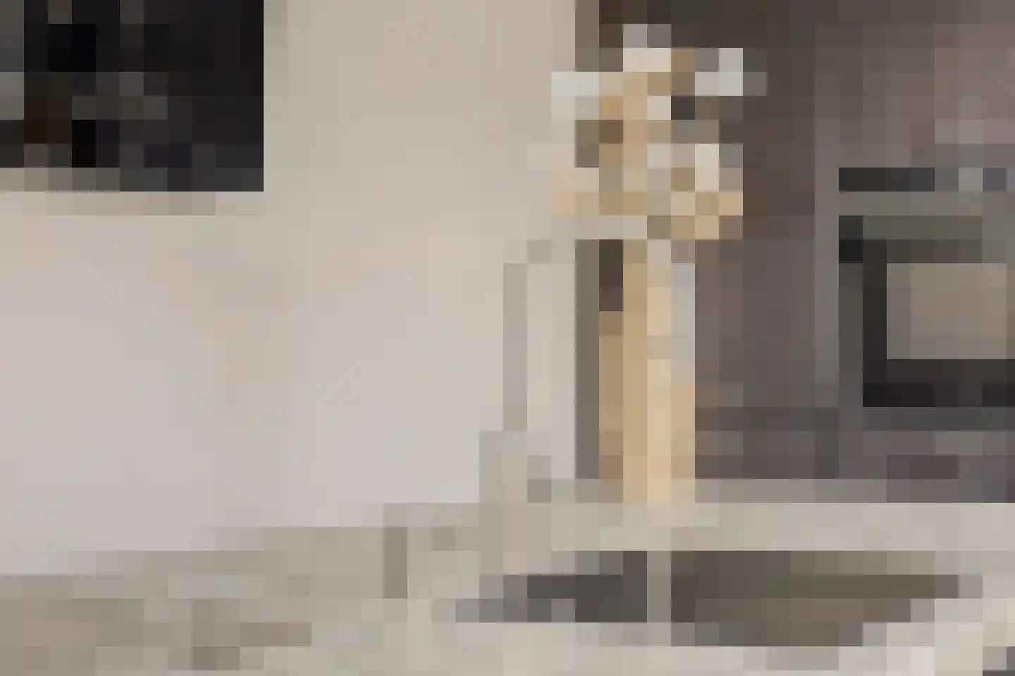 Joris van Bodegomlaan 54 Spijkenisse thumbnail 7