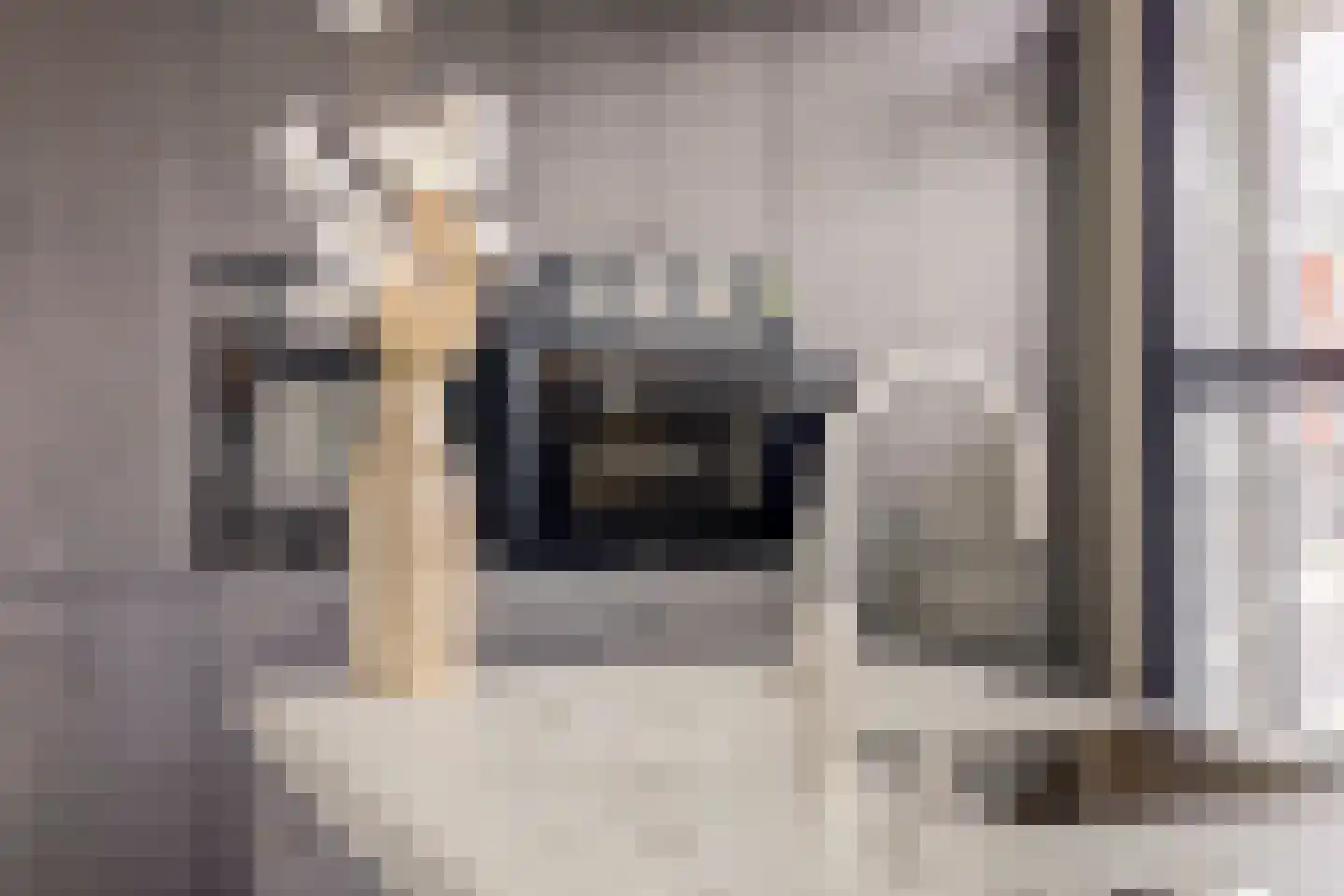 Joris van Bodegomlaan 54 Spijkenisse thumbnail 9