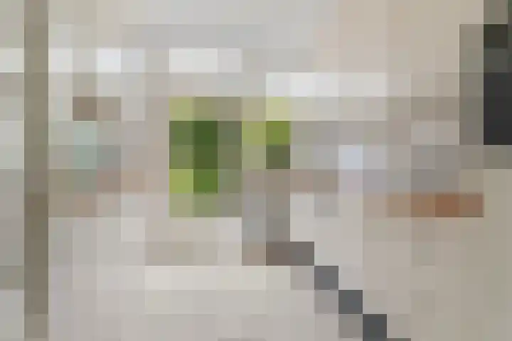 Joris van der Haagenlaan 11 Arnhem thumbnail 11