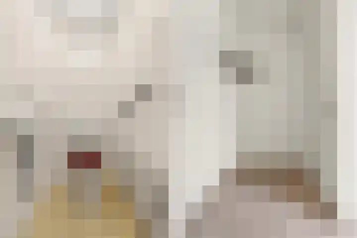 Joris van der Haagenlaan 11 Arnhem thumbnail 13