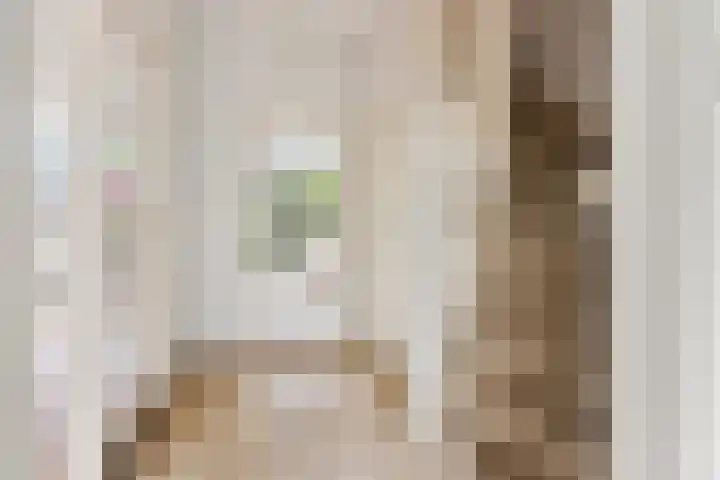 Joris van der Haagenlaan 11 Arnhem thumbnail 14