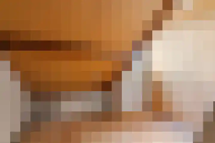 Joris van der Haagenlaan 11 Arnhem thumbnail 29