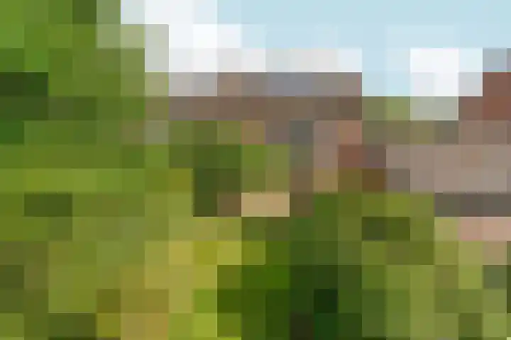 Joris van der Haagenlaan 11 Arnhem thumbnail 30