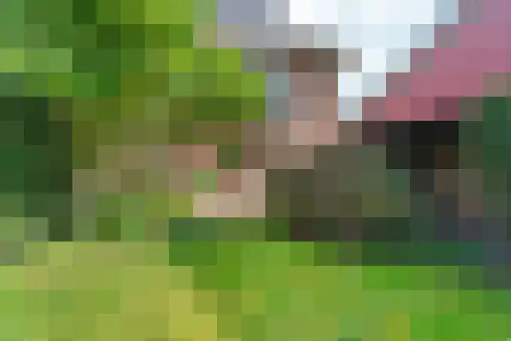 Joris van der Haagenlaan 11 Arnhem thumbnail 31