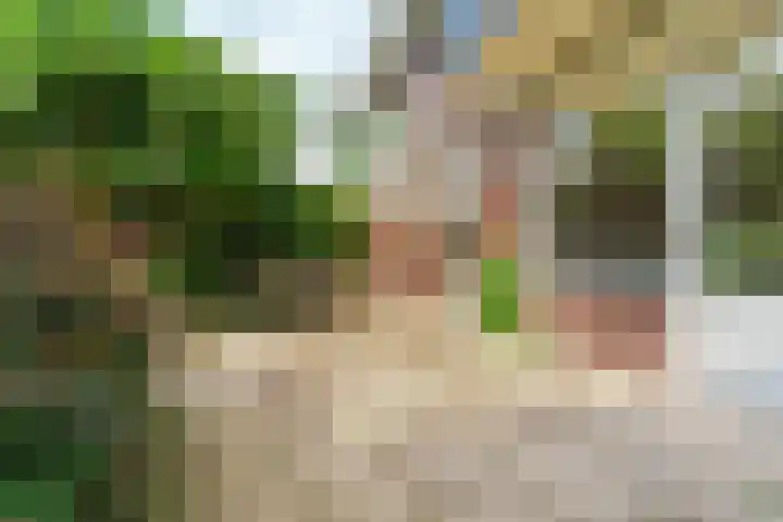 Joris van der Haagenlaan 11 Arnhem thumbnail 32