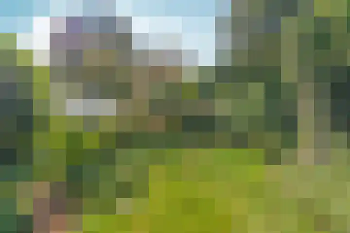 Joris van der Haagenlaan 11 Arnhem thumbnail 35