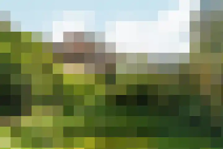 Joris van der Haagenlaan 11 Arnhem thumbnail 36