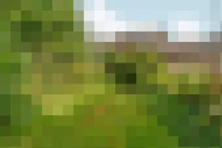 Joris van der Haagenlaan 11 Arnhem thumbnail 37