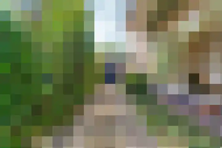 Joris van der Haagenlaan 11 Arnhem thumbnail 38