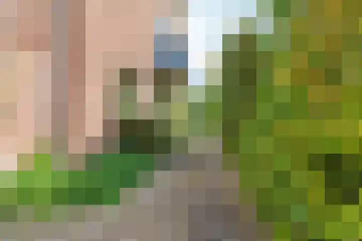 Joris van der Haagenlaan 11 Arnhem thumbnail 39
