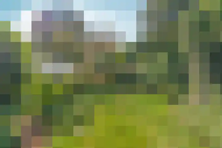 Joris van der Haagenlaan 11 Arnhem thumbnail 4