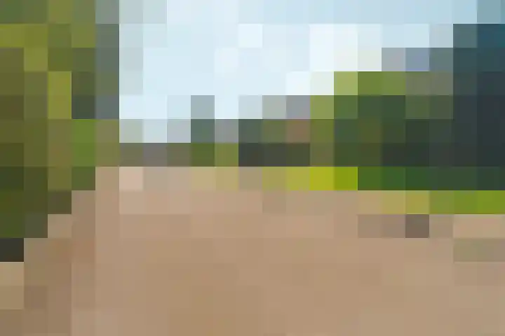 Joris van der Haagenlaan 11 Arnhem thumbnail 41